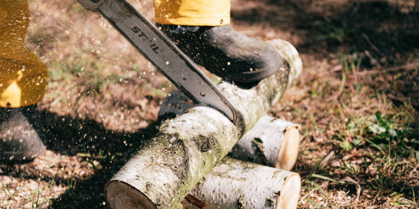 Chainsaw cutting log