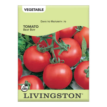 Livingston Tomato Best Boy