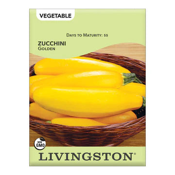 Livingston Squash Zucchini Golden