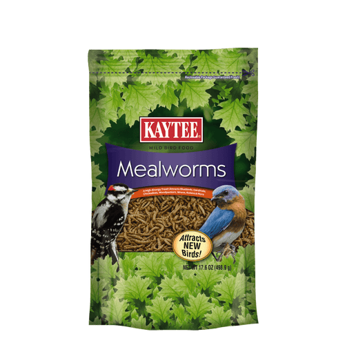 Kaytee Mealworms