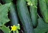 SEEDS OF CHANGE™ ORGANIC MARKETMORE SLICING CUCUMBER SEEDS