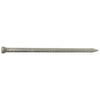 8D Galvanized Casing Nails, 2.5-In., 1-Lb.