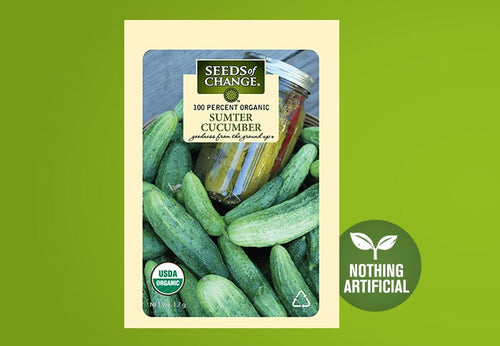 SEEDS OF CHANGE™ ORGANIC SUMPTER PICKLING CUCUMBER SEEDS