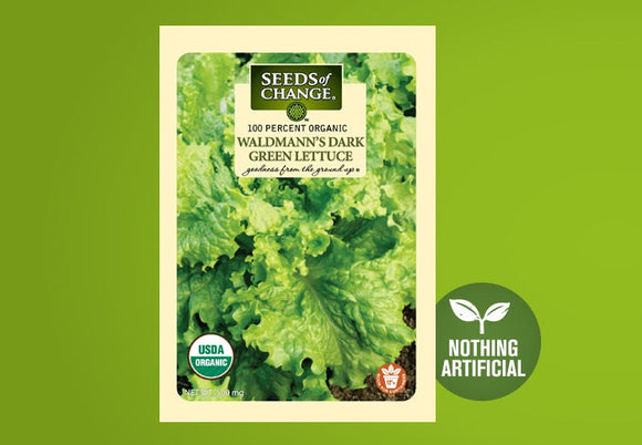 SEEDS OF CHANGE™ ORGANIC WALDMANN'S DARK GREEN LETTUCE SEEDS