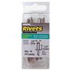 15-Pack Long Stainless-Steel Rivets